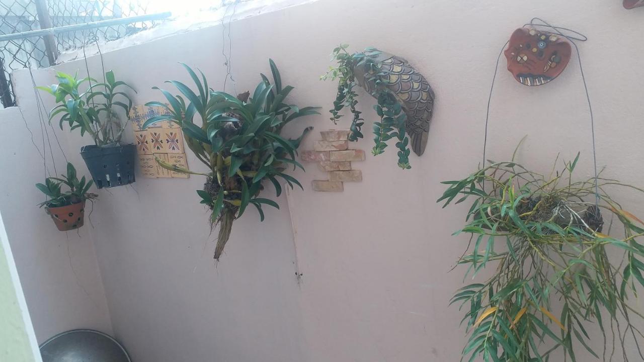 Kota'S House Homestay 후에 객실 사진